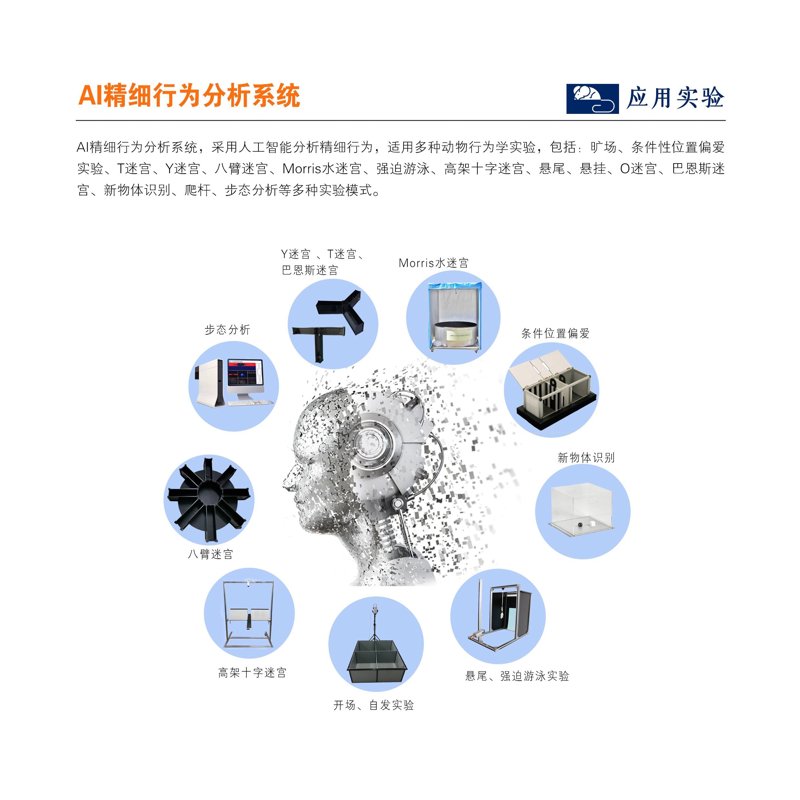 智能分析系统